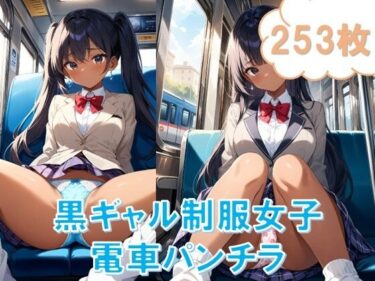 電車で対面パンチラ〜黒ギャル制服女子編〜ーどこで読める！？