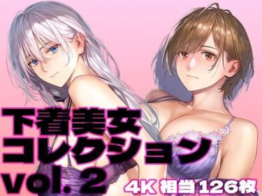 下着美女コレクション vol. 2ーどこで購入できる！？