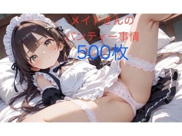 メイドさんのパンティー事情ーどこで読める！？