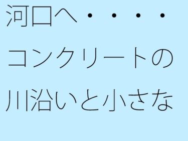 河口へ・・・・コンクリートの川沿いと小さなトンネル あと少しでーどこで見れる！？