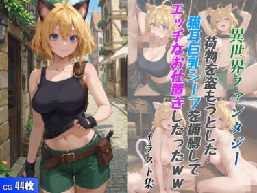 異世界ファンタジー 荷物を盗もうとした猫耳巨乳シーフを捕縛してエッチなお仕置きしたったwwーどこで見れる！？