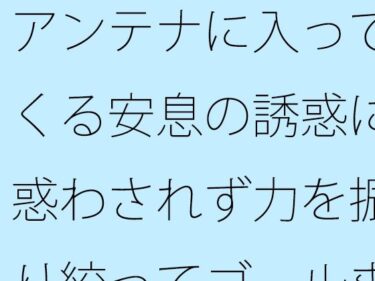 【無料】アンテナに入ってくる安息の誘惑に惑わされず力を振り絞ってゴールまでd_495910zeroーどこで購入できる！？