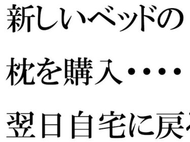 【無料】新しいベッドの枕を購入・・・・翌日自宅に戻ると義母が台所で・・・・・d_496414zeroーどこで購入できる！？