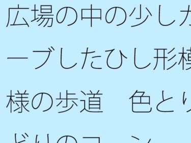 広場の中の少しカーブしたひし形模様の歩道  色とりどりのコーンd_496702ーどこで読める！？