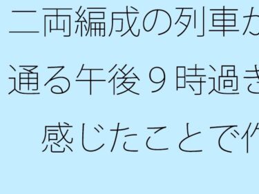 二両編成の列車が通る午後9時過ぎ  感じたことで作るので・・・・d_510073ーどこで見れる！？