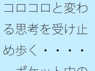 【無料】コロコロと変わる思考を受け止め歩く・・・・  ポケット中の時空の放浪者d_517714zeroーどこで見れる！？