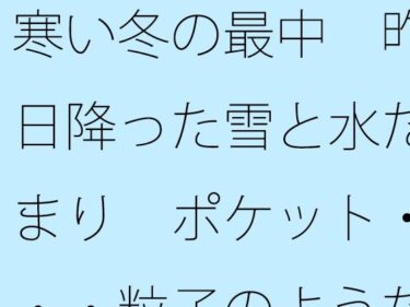 寒い冬の最中  昨日降った雪と水たまり  ポケット・・・粒子のようなことがd_518059ーどこで見れる！？