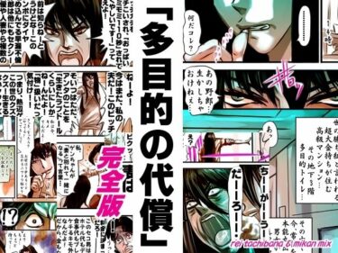 完全版 多目的の代償d_522641ーどこで見れる！？