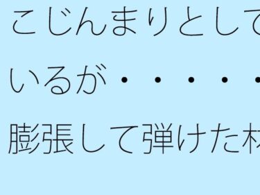 【無料】こじんまりとしているが・・・・・膨張して弾けた材料d_526227zeroーどこで購入できる！？