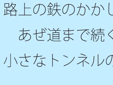 【無料】路上の鉄のかかし  あぜ道まで続く小さなトンネルの競争d_529201zeroーどこで見れる！？