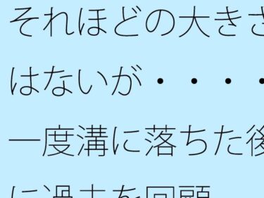 それほどの大きさはないが・・・・一度溝に落ちた後に過去を回顧d_530236ーどこで購入できる！？