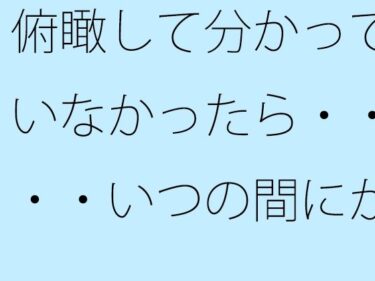 俯瞰して分かっていなかったら・・・・いつの間にか変なところに入っているd_533901ーどこで購入できる！？