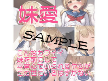 【無料】『無料サンプル版』妹愛ーこんなカワイイ妹を目の前にして平常心でいられるヤツがこの世にいるはずがないd_534685zeroーどこで読める！？