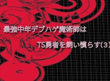 最強中年デブハゲ魔術師はTS勇者を飼い慣らす（3）d_548593ーどこで読める！？