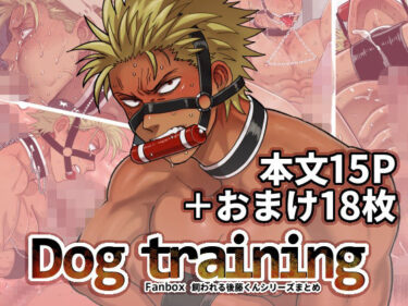 DOG TRAININGd_550435ーどこで見れる！？