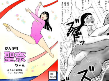 がんばれ聖奈ちゃん  エチエチ新体操トレーニング（4）d_591262ーどこで購入できる！？