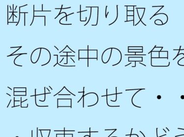 断片を切り取る  その途中の景色を混ぜ合わせて・・・収束するかどうかの感覚値d_593102ーどこで購入できる！？