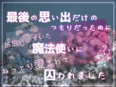 最後の思い出だけのつもりだったのに片想いしていた魔法使いにねっとり愛されて囚われましたd_608566ーどこで読める！？