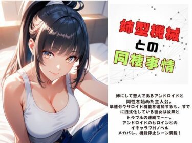 姉型機械との同棲事情d_631400ーどこで購入できる！？