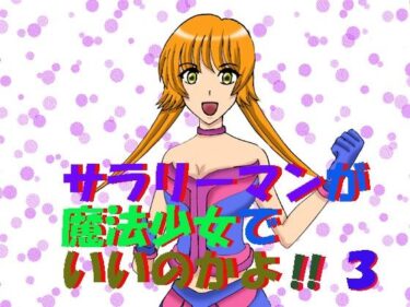 サラリーマンが魔法少女でいいのかよ！！3d_637452ーどこで見れる！？