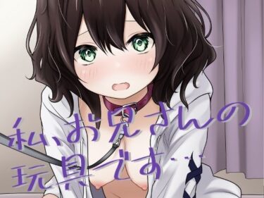 私、お兄さんの玩具です…d_640784ーどこで読める！？
