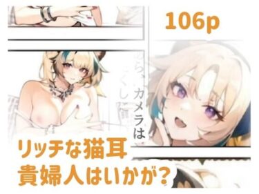 リッチな猫耳貴婦人はいかが？d_640707ーどこで購入できる！？