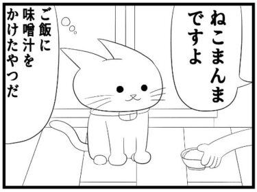 4コマ「味噌汁」d_644275ーどこで読める！？