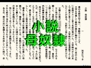小説版  母奴●d_650492ーどこで購入できる！？