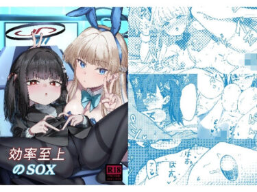 効率至上のSOXd_656403ーどこで購入できる！？