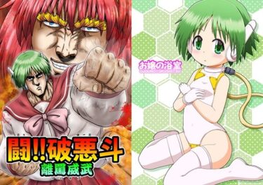 闘！！破悪斗 離罵威武d_657803ーどこで購入できる！？
