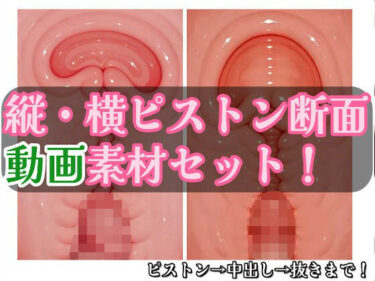 著作権フリー ピストン子宮断面動画素材セット 縦・横バージョンd_661810ーどこで購入できる！？