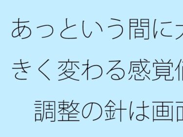 あっという間に大きく変わる感覚値  調整の針は画面をオーバーしながら左右に・・d_673499ーどこで購入できる！？