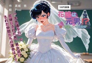 100円画集  花嫁は元男！？愛と勘違いは宇宙規模d_694799ーどこで読める！？