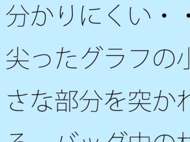 分かりにくい・・尖ったグラフの小さな部分を突かれる  バッグ中の材料でなんとか・・・d_705949ーどこで購入できる！？