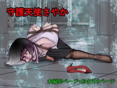 守護天使さやかd_706662ーどこで見れる！？