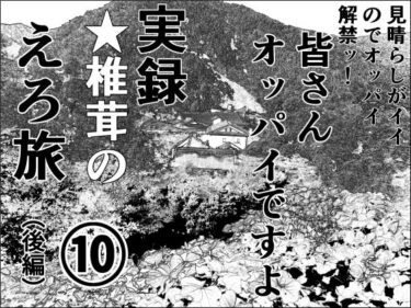 実録  ★椎茸のえろ旅  10  （後編）d_710429ーどこで購入できる！？