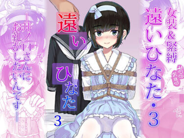 遠いひなた・3d_710709ーどこで購入できる！？